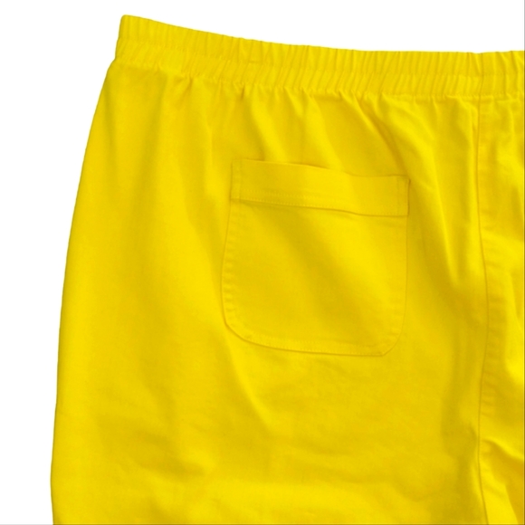 Allison Daley Plus Stretch Bermuda Shorts - Picture 5 of 5